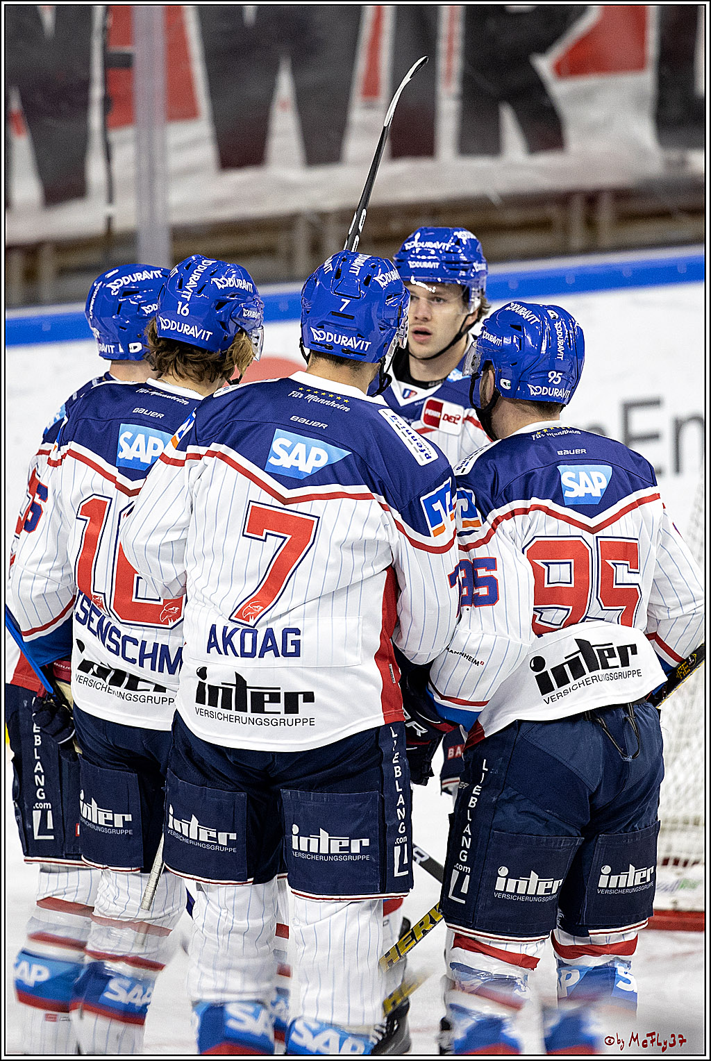 PENNY DEL;  Koelner Haie - Adler Mannheim; Koeln, 02.01.2022